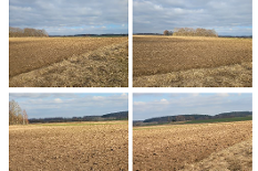 foto1.png