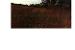 page_0003.jpg