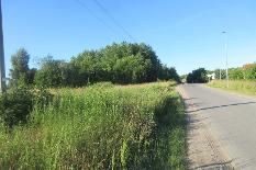 IMG_9255.JPG