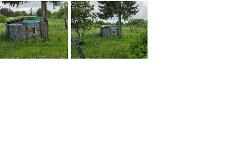 Viralinės fragmentai 1.jpg