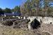 05.JPG