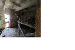 viralinė.png
