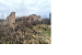 viralinė.png