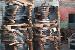 IMG_20260421_140055.jpg
