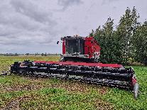 20260925_090448.jpg