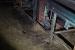 IMG_3928.jpg