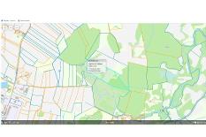 7,500 ha Ylių k..jpg