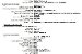 NTR.png