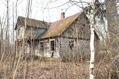 01.jpg