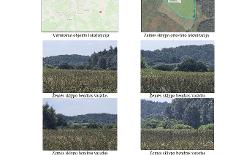 Gilevskij_Pakalniu-23.jpg