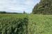 image7.jpeg