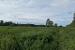 image22.jpeg