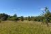 image9.jpeg