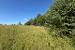 image13.jpeg