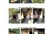 Ekspertiz_s aktas EKN-26-055 (E)_page-0038.jpg