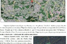 Meškauskienės miškas1.JPG