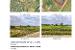 Antstolių informacinė sistema_page-0001.jpg