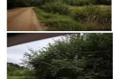 1-1.jpg
