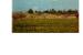 page_0003.jpg