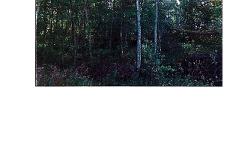 page_0002.jpg
