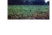 page_0003.jpg