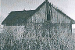 GYV. NAMAS 4.png