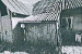 TVARTAS 2.png