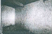 VIRALINĖ 2.png