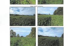 SKM_C250i26102610130.jpg