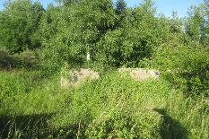 IMG_9260.JPG