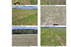 Ekspertizės objekto nuotraukos (2) (1).jpg