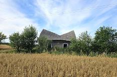 01.jpg